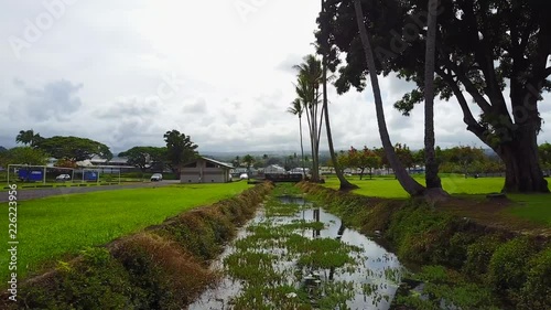 A cinematic look of a canal on the Big Island of Hawaii. photo