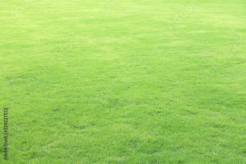 Green field at the public park