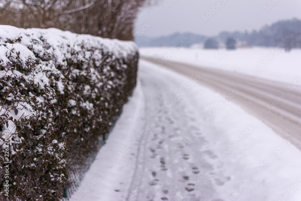 Obraz premium Geheweg an der Hecke im Winter und Straße