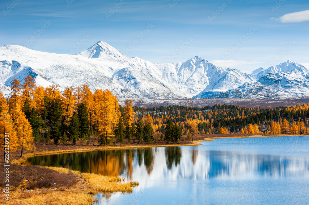 Kidelu lake, snow-covered mountains and autumn forest in Altai Republic, Siberia, Russia