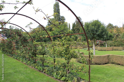 Les Jardins du Plessis de Sasnières photo