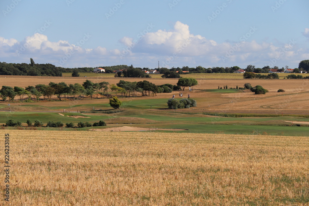 Charente-Maritime - Marsilly - Vue sur un champ de blé