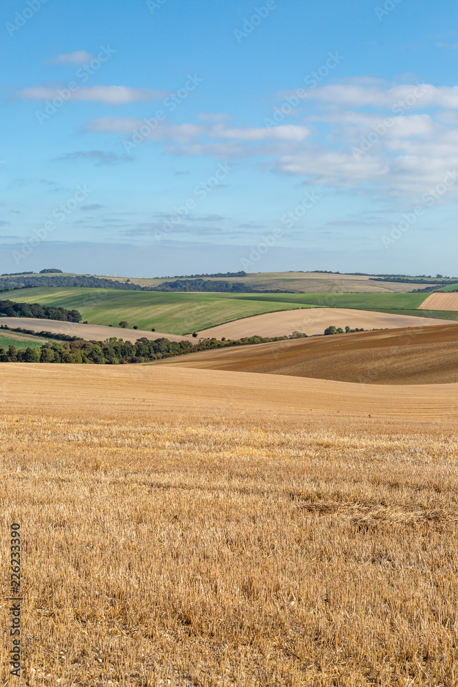 Patchwork fields in Sussex on a sunny autumn day