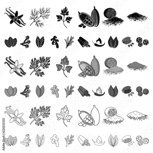 Herb and spices cartoon icons in set collection for design.Different kinds of seasonings vector symbol stock web illustration.