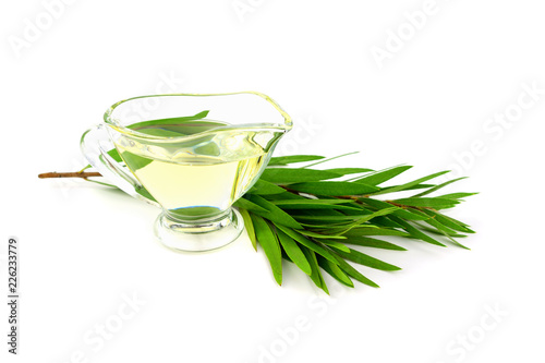 Isolated Melaleuca (Tea Tree) Essential Oil.