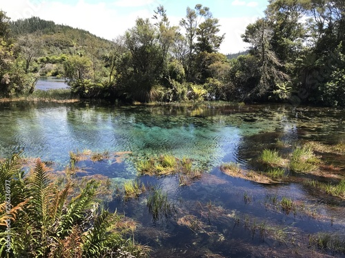 Waikoropupu springs  New Zealand