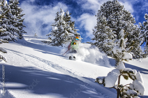 Offpiste skiing in deep powder snow