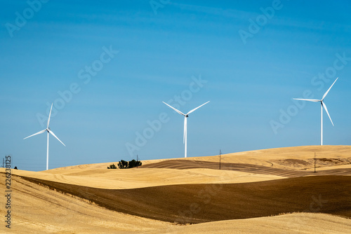 Wind Turbines in Farm Fields Near Colfax, Washington.