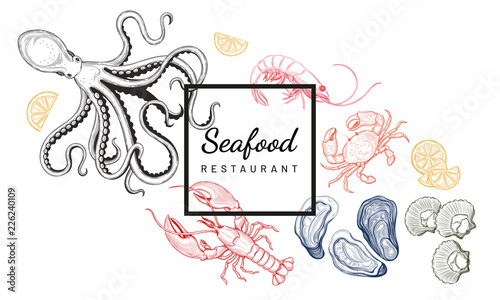 Seafood. Oyster, sea scallop, crab, shrimp, lobster, Octopus.