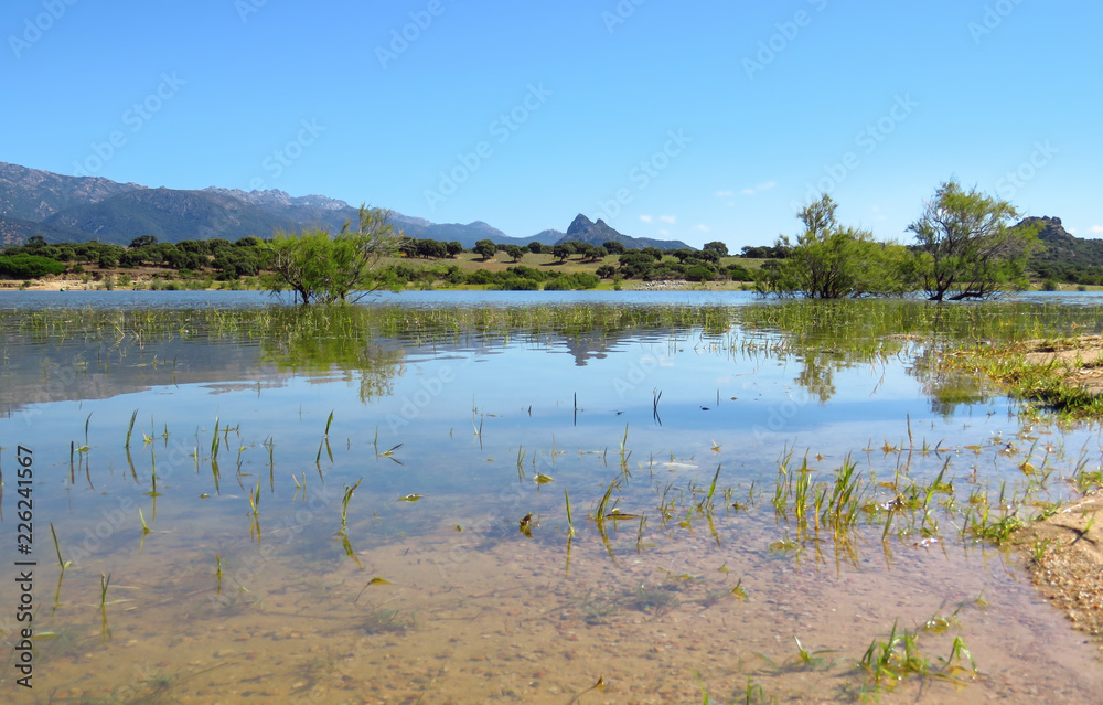 Lago del Coghinas with the reflection of trees and mountains in the blue water of the lake, Sardinia, Italy