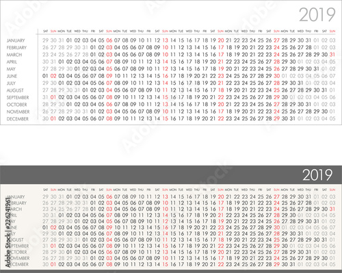 Linear calendar for 2019 year vector illustration
