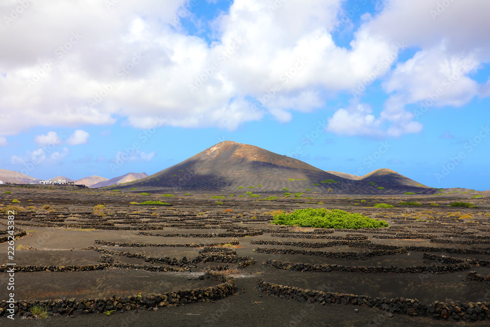 Scenic view of Wine-growing in La Geria on the volcanic island of Lanzarote, Canary Islands, Spain, Europe