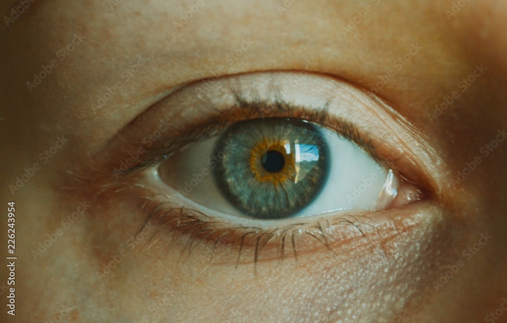 Fototapeta premium 84