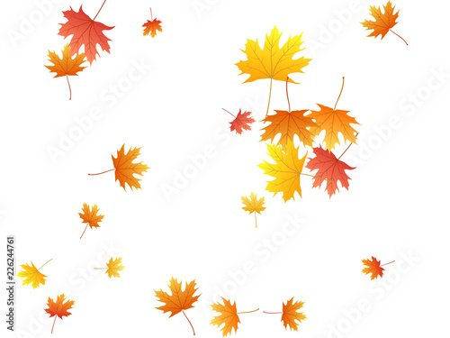 Maple leaves vector background, autumn foliage on white graphic design.