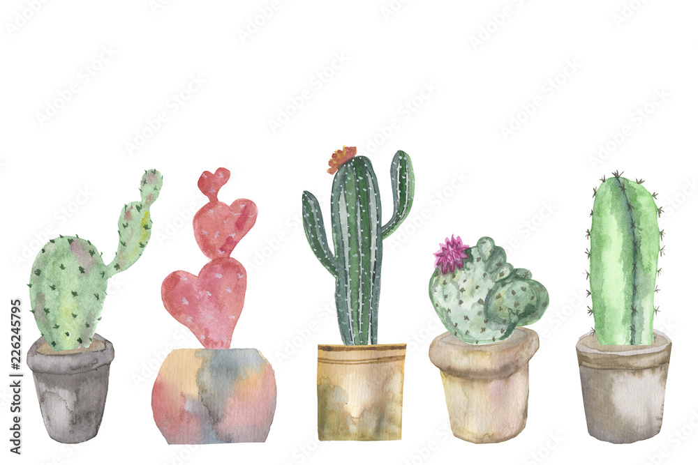 Watercolor banner of cacti in pots and juicy plants isolated on white background. Watercolor banner of cacti in pots and juicy plants isolated on white background.
