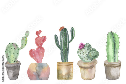 Watercolor banner of cacti in pots and juicy plants isolated on white background.