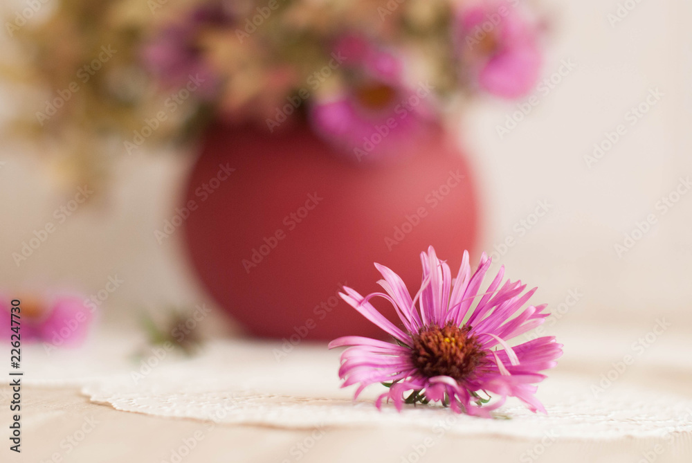 autumn bouquet of different flowers autumn bouquet of different flowers