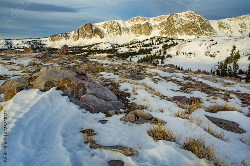 Fresh Fall Snow in the Snowy Range Mountains of Wyoming