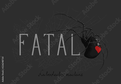the slogan of the c spider. The inscription in Latin-black widow (spider name).
