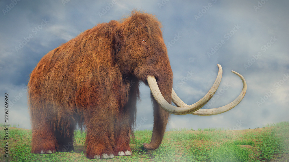 Fototapeta premium woolly mammoth, prehistoric mammal in foggy landscape (3d illustration)