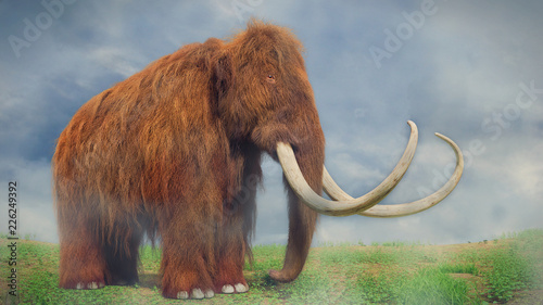 woolly mammoth, prehistoric mammal in foggy landscape (3d illustration)