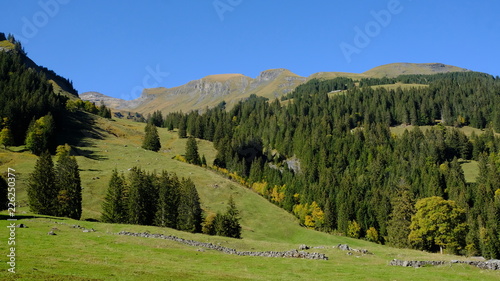 Schwarzwaldalp near Rosenlaui, Berner Oberland, Switzerland