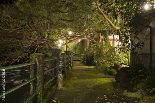 old river embankment at night