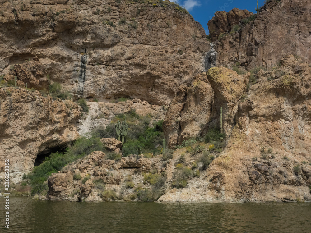 A rocky outcrop between the canyon face and the water at Canyon Lake supports saguaro cactus and blooming brittle brush Lake in the Superstition Mountains near Phoenix, Arizona