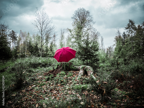 Image of red pinkish umbrella on a trunk in the woods