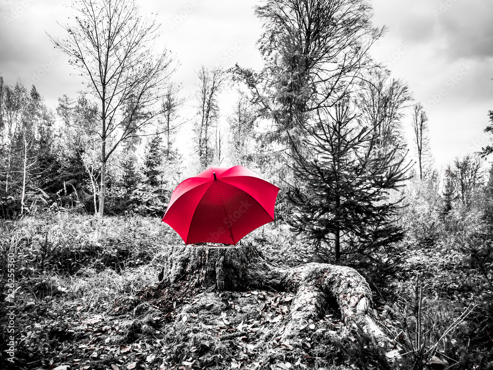 Black and white image of a red umbrella on a trunk