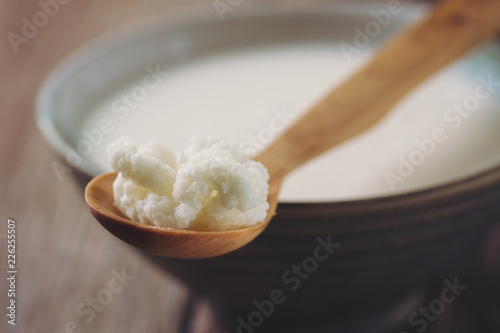 Kefir Grains on Wooden Spoon with a Cup of Kefir in background. Homemade Organic Probiotic. Shallow Depth of Field.