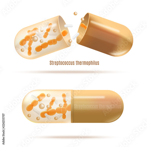 Medicines with Probiotic Bacteria Realistic Vector