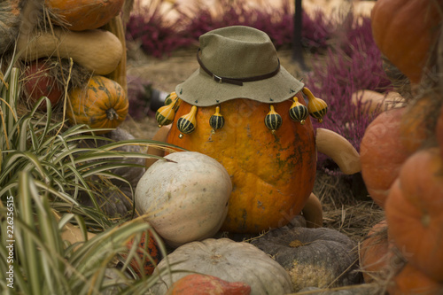 Pumkin in a hat