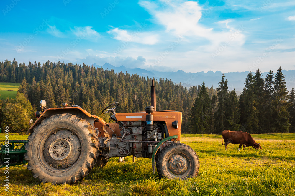 Rural farming view in Tatra mountains