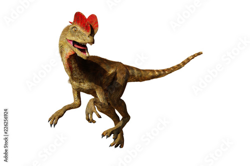 Dilophosaurus, theropod dinosaur from the Early Jurassic period (3d illustration isolated on white background) © dottedyeti