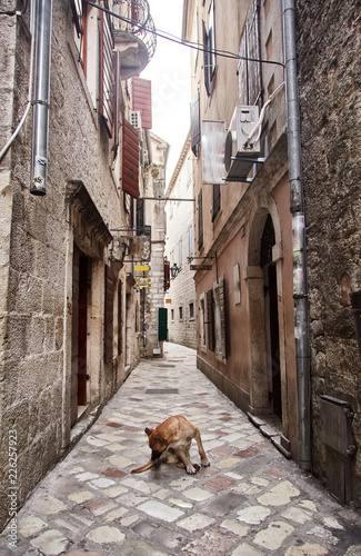 Montenegro. The Town Of Kotor. Streets of old Kotor.  © Dima Anikin