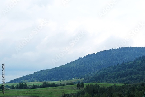 пейзаж Карпатских гор