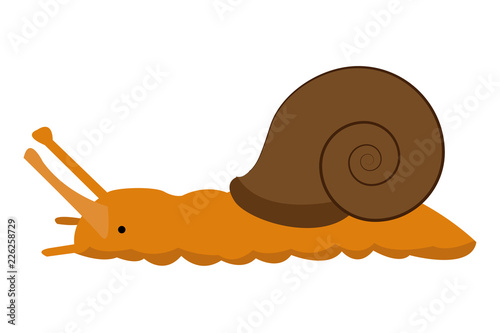 Caracol de caparazón marrón.