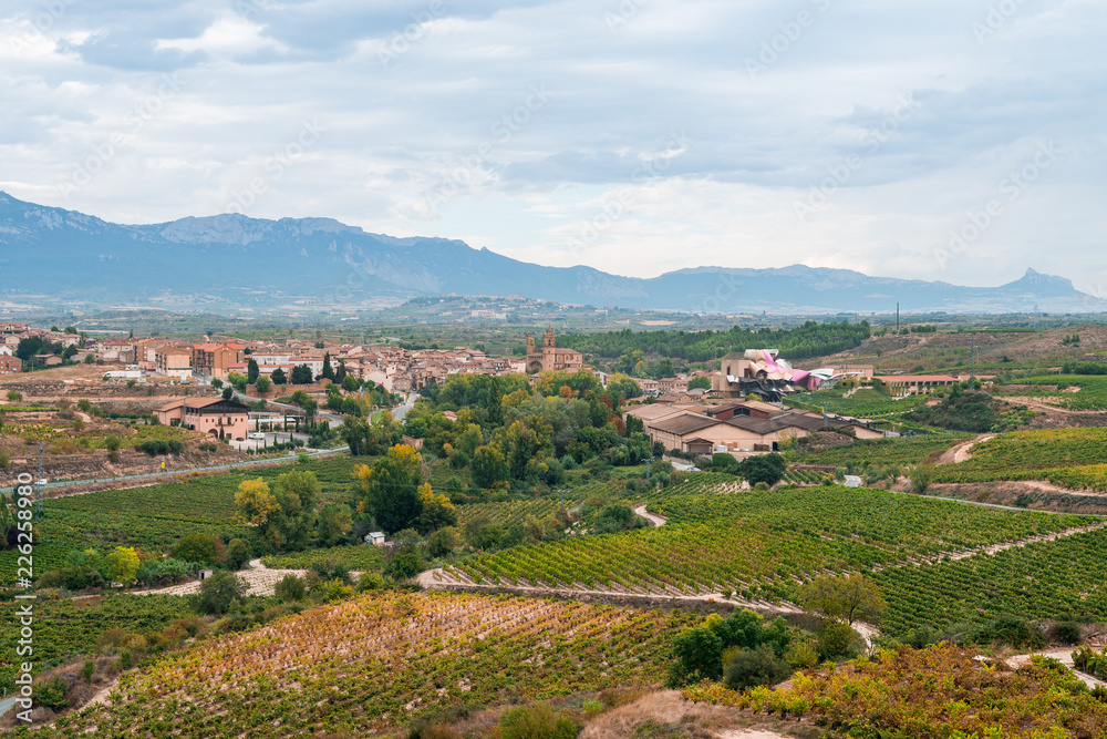 vineyard fields of la rioja, spain