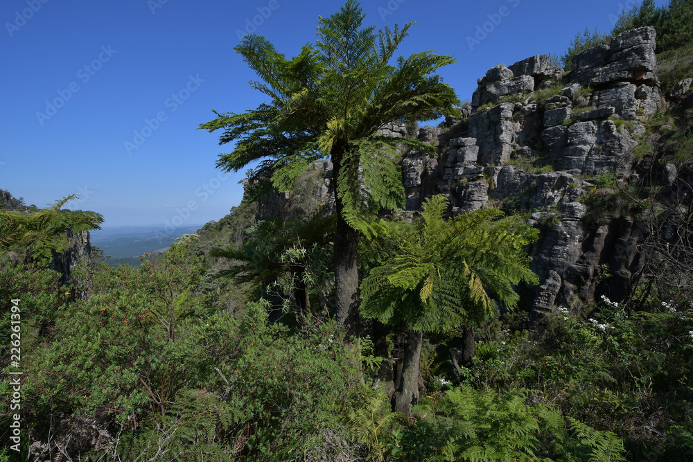 The Pinnacle Panorama Route Südafrika The Pinnacle Panorama Route Südafrika