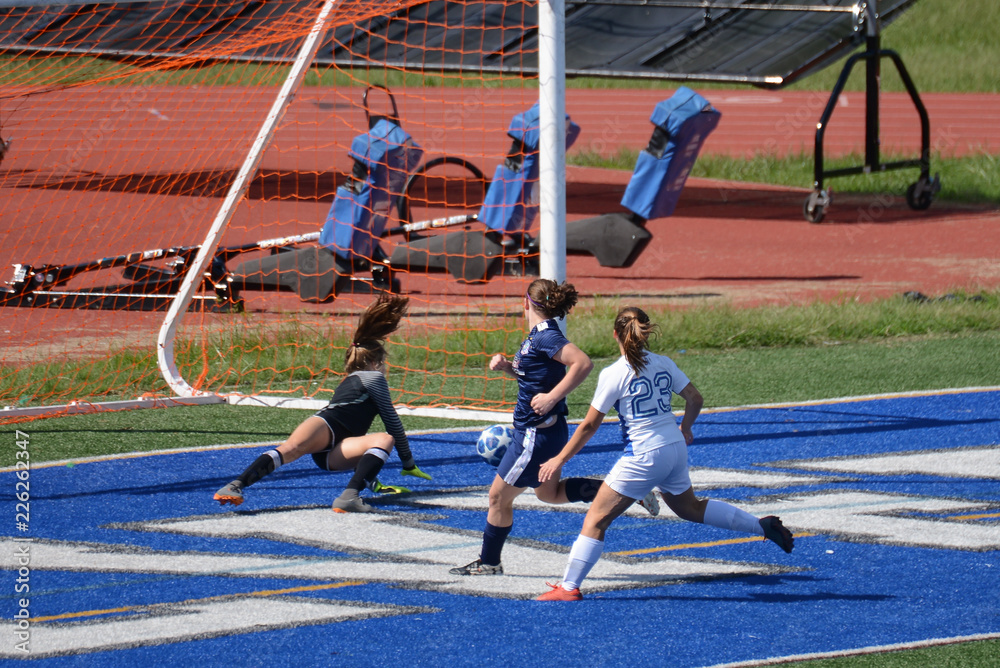 Obraz premium Defense cannot stop the goal