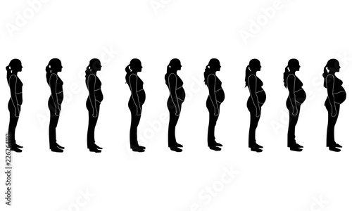 Silhouette images of pregnant women one month to nine months