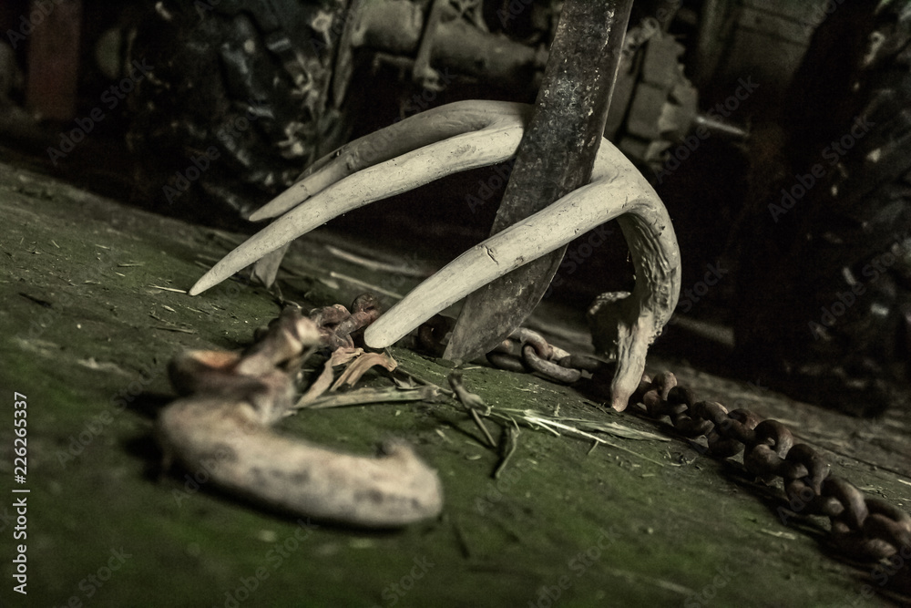 A scary and spooky sight of a rusty machette plunged into the ground through an antler with a chain.