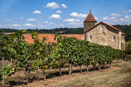 Madiran (Hautes-Pyrénées, France) - Vignoble et église Sainte Marie