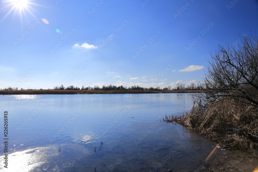 Late autumn, bright Sunny day with trees already flew around the leaves and along the river Bank is dry yellow, dried cane Late autumn, bright Sunny day with trees already flew around the leaves and along the river Bank is dry yellow, dried cane