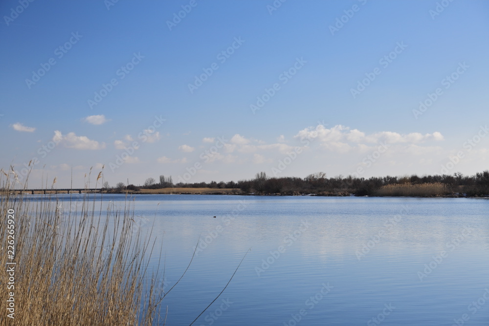 Obraz premium Late autumn, bright Sunny day with trees already flew around the leaves and along the river Bank is dry yellow, dried cane