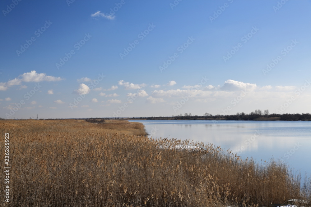 Late autumn, bright Sunny day with trees already flew around the leaves and along the river Bank is dry yellow, dried cane Late autumn, bright Sunny day with trees already flew around the leaves and along the river Bank is dry yellow, dried cane