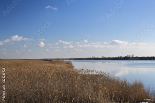 Fototapeta Naklejka Na Ścianę i Meble -  Late autumn, bright Sunny day with trees already flew around the leaves and along the river Bank is dry yellow, dried cane