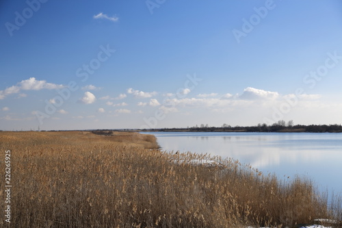 Late autumn  bright Sunny day with trees already flew around the leaves and along the river Bank is dry yellow  dried cane