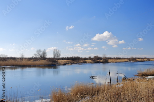 Late autumn  bright Sunny day with trees already flew around the leaves and along the river Bank is dry yellow  dried cane